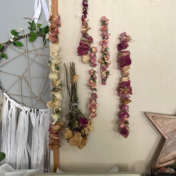Dried 🥀 Roses - Picture 3 of 9